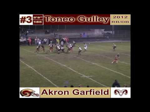 Toneo Gulley 2009 Football Highlights
