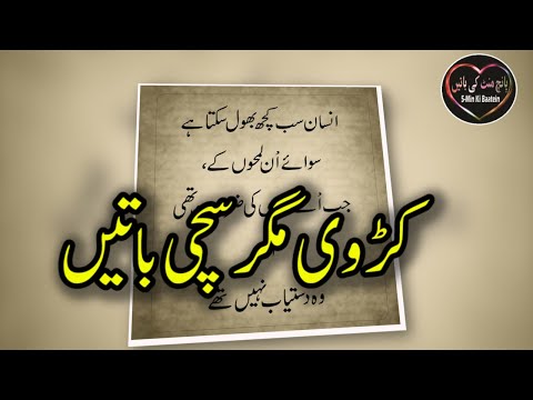 Heart Touching and Amazing Urdu Quotes Collection - Aqwal e Zareen