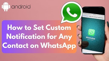How to Set Custom Notification for Any Contact on WhatsApp (2025)
