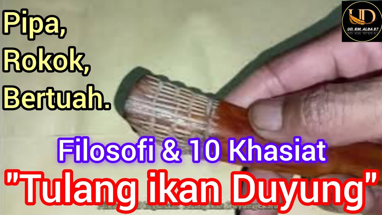Filosofi & 10 Khasiat| Tulang ikan Duyung| Pipa rokok Bertuah
