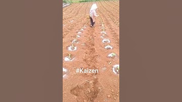 kaizen implementation || operation method || OM