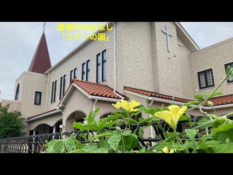 エデンの園(聖書のお話2) YouTube