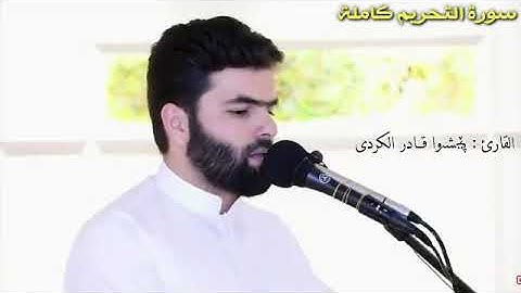 القران الكريم بصوت جميل جدا جدا/ سورة التحريم {كاملة} بصوت القارئ : پێشەوا قــادر الكردى 💙