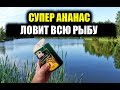 СУПЕР АНАНАСОВЫЙ СИРОП для рыбалки на карпа и сазана а так же другую мирную рыбу, своими руками