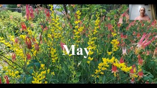 This month in our native gardens  May