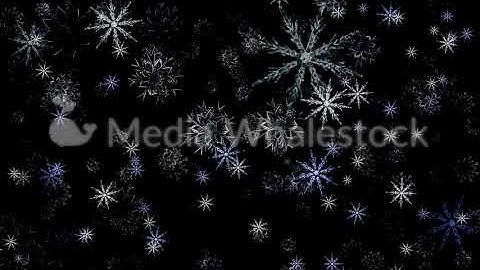 Beautiful winter white and blue snowflakes falling down and upward on black background, seamless