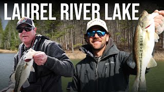 Black Bass with Pro Angler John Hunter | Laurel River Lake