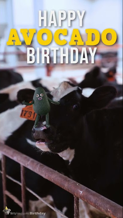 Avocado Cow Birthday Dance #shorts 