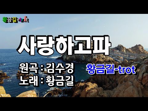 사랑하고파 - 황금길 Cover  (원곡 /김수경) 영상가사
