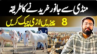 “8 Essential Tips to Buy a Healthy Animal from Market | Avoid Scams & Overpaying!”