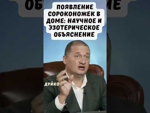 Почему появляются сороконожки в доме: научное и эзотерическое объяснение #эзотерика #дуйко