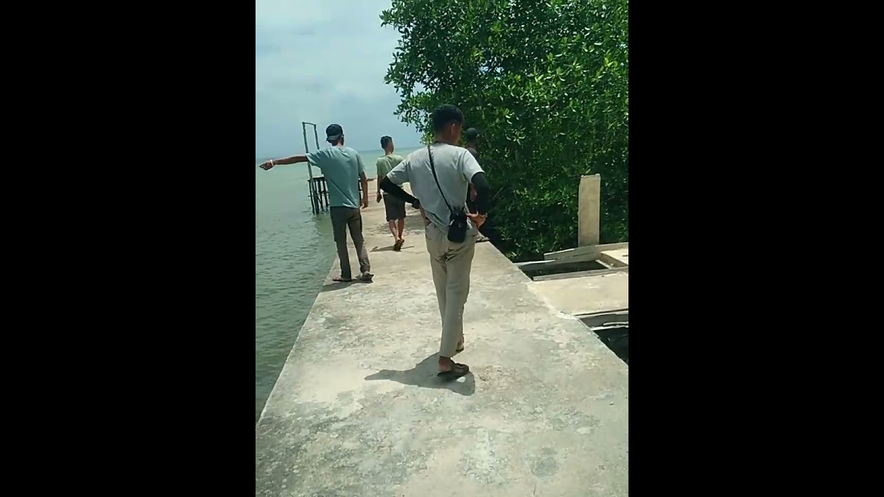 kita mau nangkap ular bakau di pantai#🥰🥰
