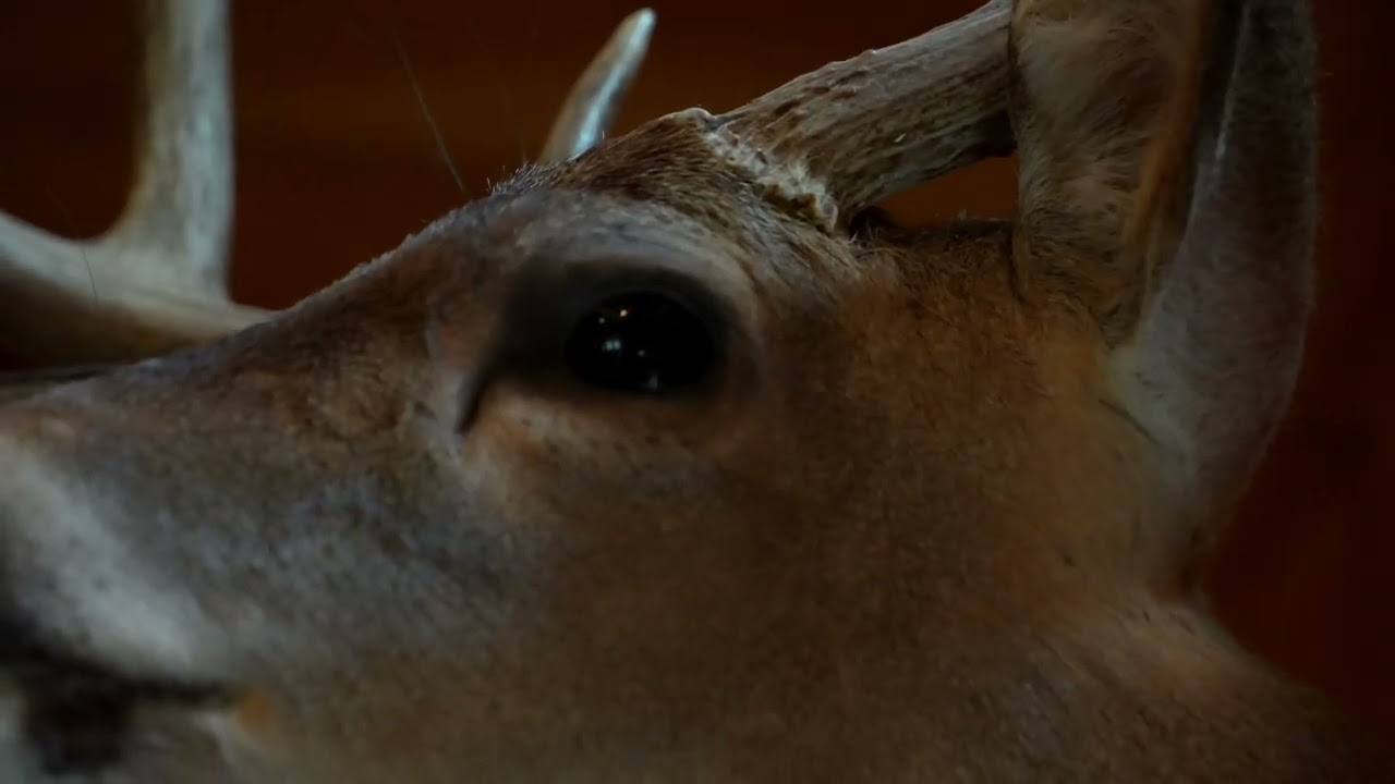 Land for Sale - Tennessee - Marshall County - Gobbler Knob Tract