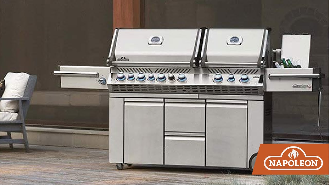 Napoleon TravelQ Pro 285X Portable Freestanding Propane Gas Grill