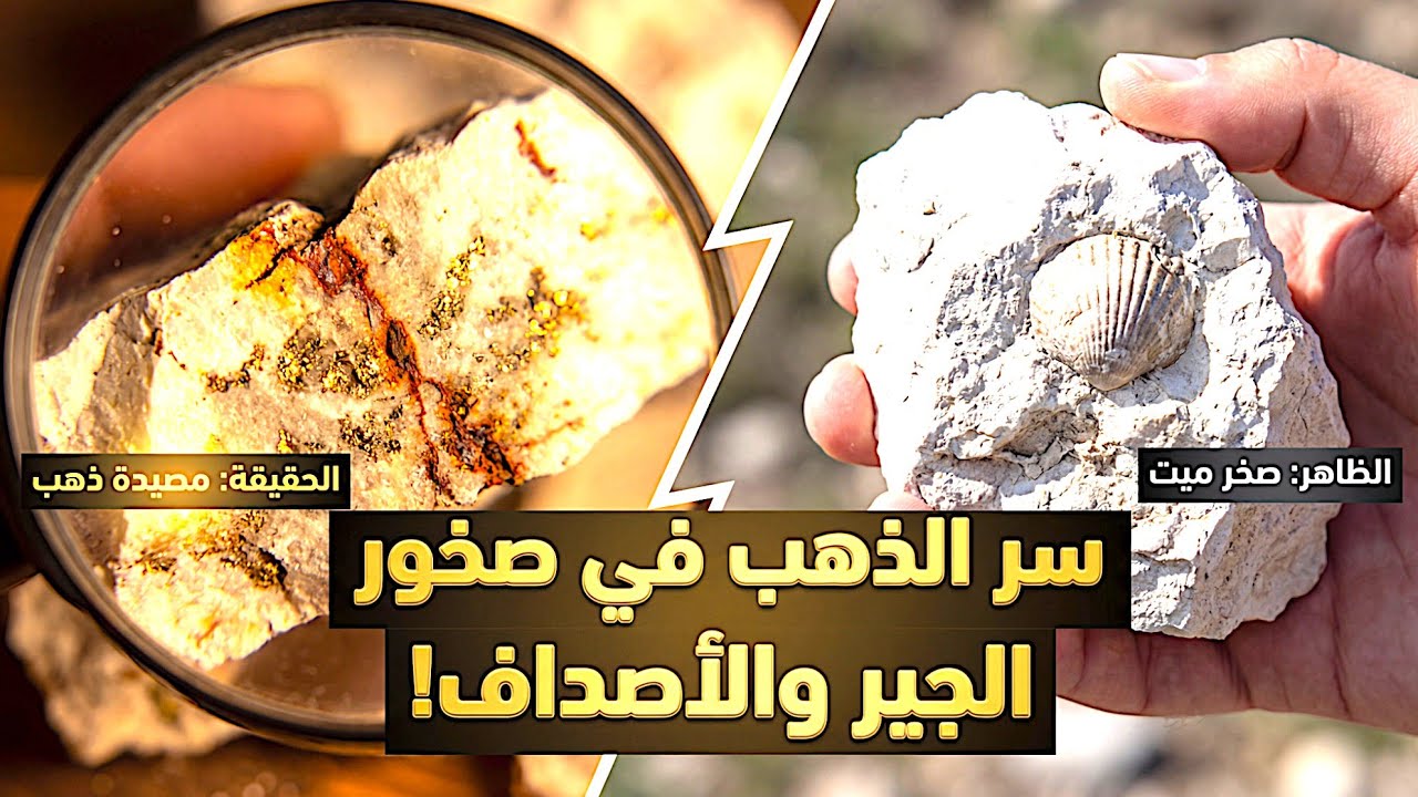 الذهب داخل الصخور البيضاء؟ سر يجهله 90% من المنقبين!