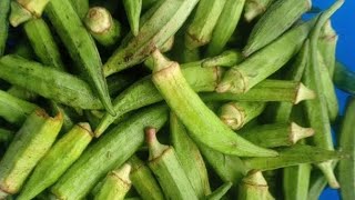 Yummy Bhindi Masala Recipe By Desi Cooking | vegetarian Recipe |Banane ke Tarika|