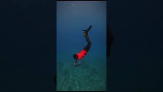 ZOOM INTO DIVE  🌎🌊🤿🤿#shortsfeed #adventure