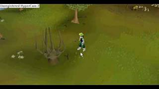 Emps-scape Achey tree bug