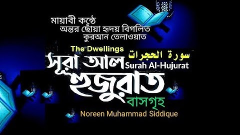 049)✍♥️✍ সূরা আল হুজুরাত | Surah Al Hujurat | سورة الحجرات | ♥️✍ Qari Noreen Muhammad Siddique