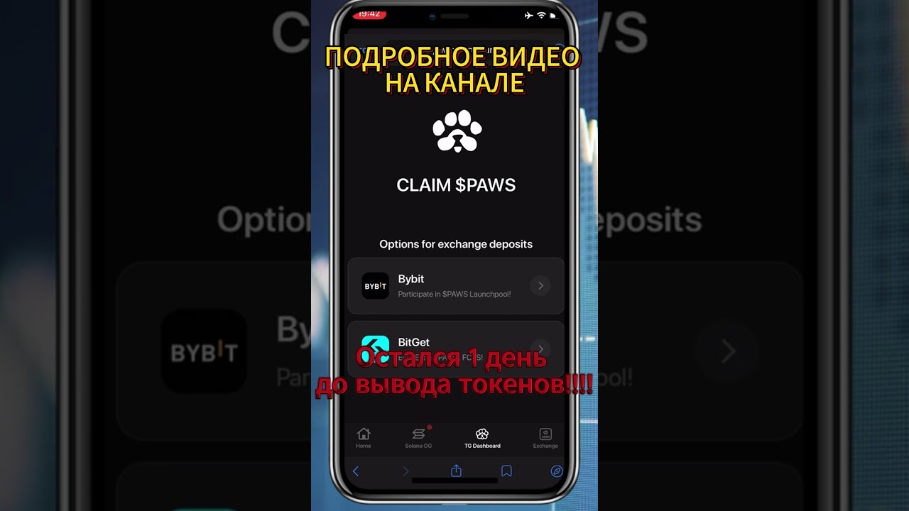 Как вывести PAWS на биржу? Подробный гайд 