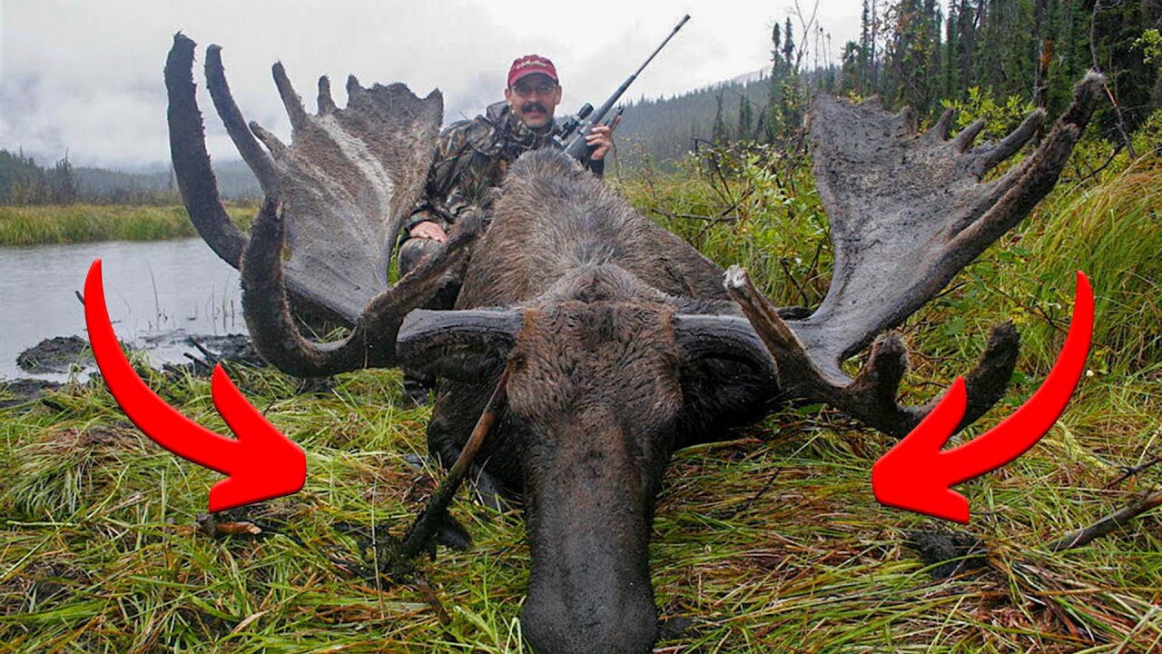 Best Moose Hunting Gear? Season 2 Episode 62 YouTube