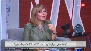 كلمة أخيرة - ليه بره معندهمش كلاب ضالة في الشارع؟.. شاهد رد ضيوف كلمة أخيرة