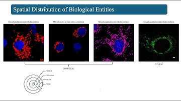 Microscopic Image Analysis work at PIL lab IITK