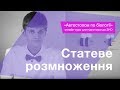 Статеве розмноження – Підготовка до ЗНО – Біологія