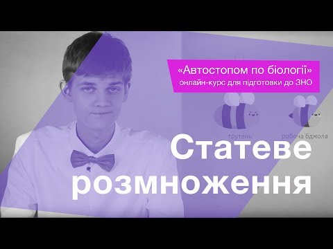 Статеве розмноження – Підготовка до ЗНО – Біологія