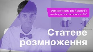 Статеве розмноження – Підготовка до ЗНО – Біологія Статеве розмноження – Підготовка до ЗНО – Біологія