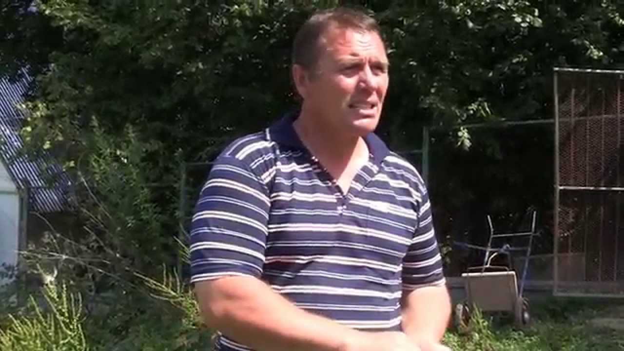 Гуси Бровкина Владимира. Экспедиция по гусеводческим хозяйствам №1