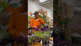 Healthy plants start with healthy soil #dhgardencentre #gardening #garden