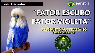 FATOR ESCURO E FATOR VIOLETA NOS PERIQUITOS AUSTRALIANOS