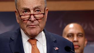 Top Democrat Stabs Schumer in the Back, Switches Parties Net Worth