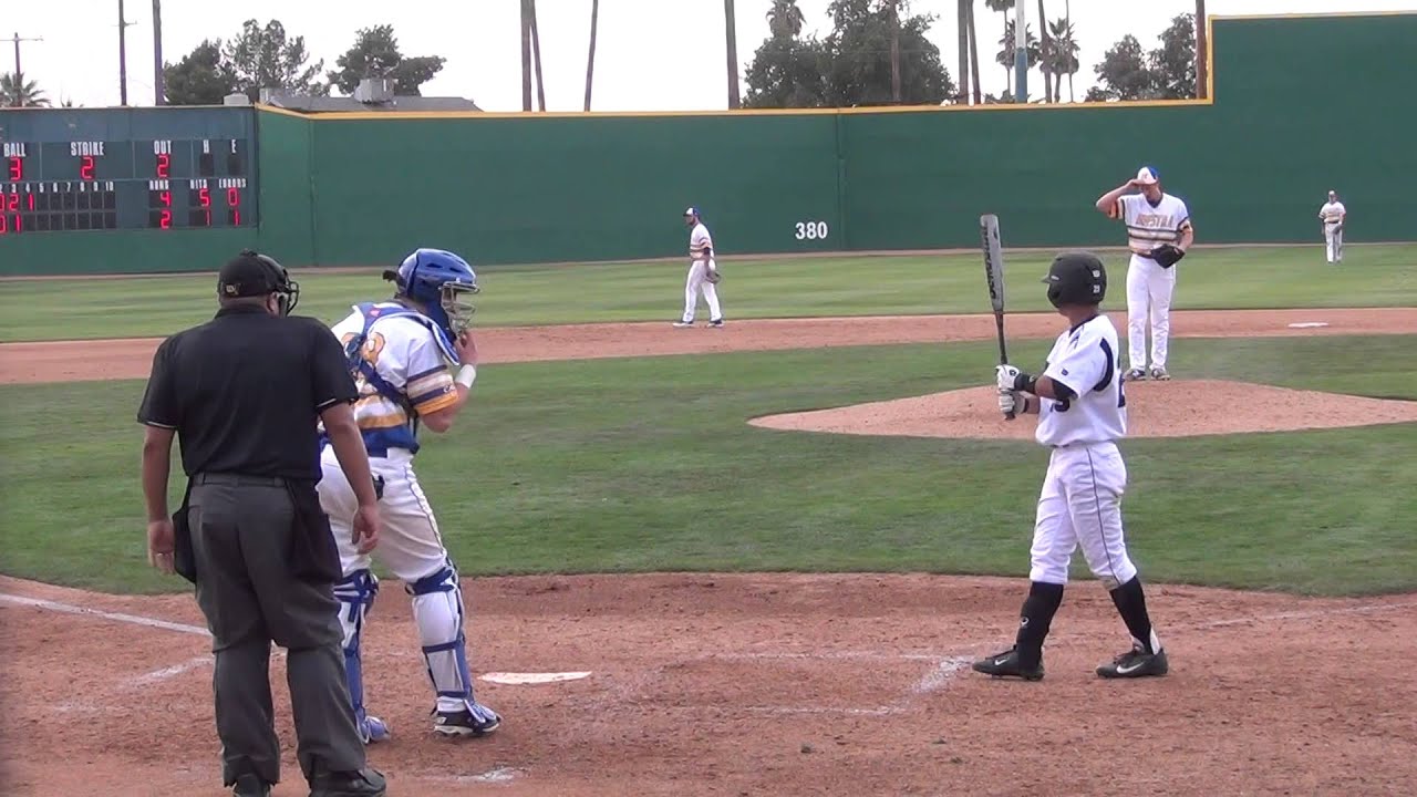 David Jesch, Hofstra Basball