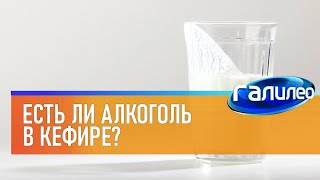 Галилео 🥛 Есть ли алкоголь в кефире?