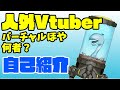 【自己紹介】バーチャルほやって、何者?