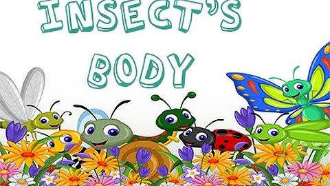 Thumbnail of Dr. Jean - Insect's Body - Sing and Learn about Bugs with Dr. Jean