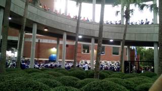 UF Marching Band lightning delay Call Me Al