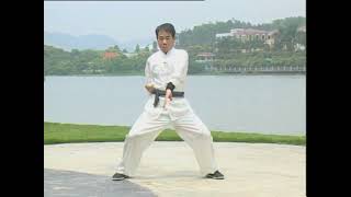 Download Mp3 Lam Yan 林欣 – "Art of the Bridge" (Kiu Gung 橋功) of "Old Hung Kyun" (Lou Hung Kyun 老洪拳) Gudang lagu Download Mp3 Lam Yan 林欣 – "Art of the Bridge" (Kiu Gung 橋功) of "Old Hung Kyun" (Lou Hung Kyun 老洪拳)