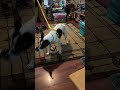 Kane plays with a toy