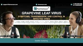 Farmonaut’s Guide to Managing Grapevine Leafroll Disease