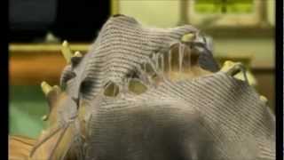 YouTube video 6pf2wFOLW-M