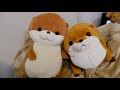 ぽんたとでぶまる