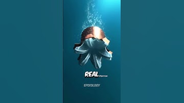 Kogelring #shorts #wetenschap