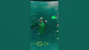 I didnt Die alone! | Murky Divers #murkydivers #drowning