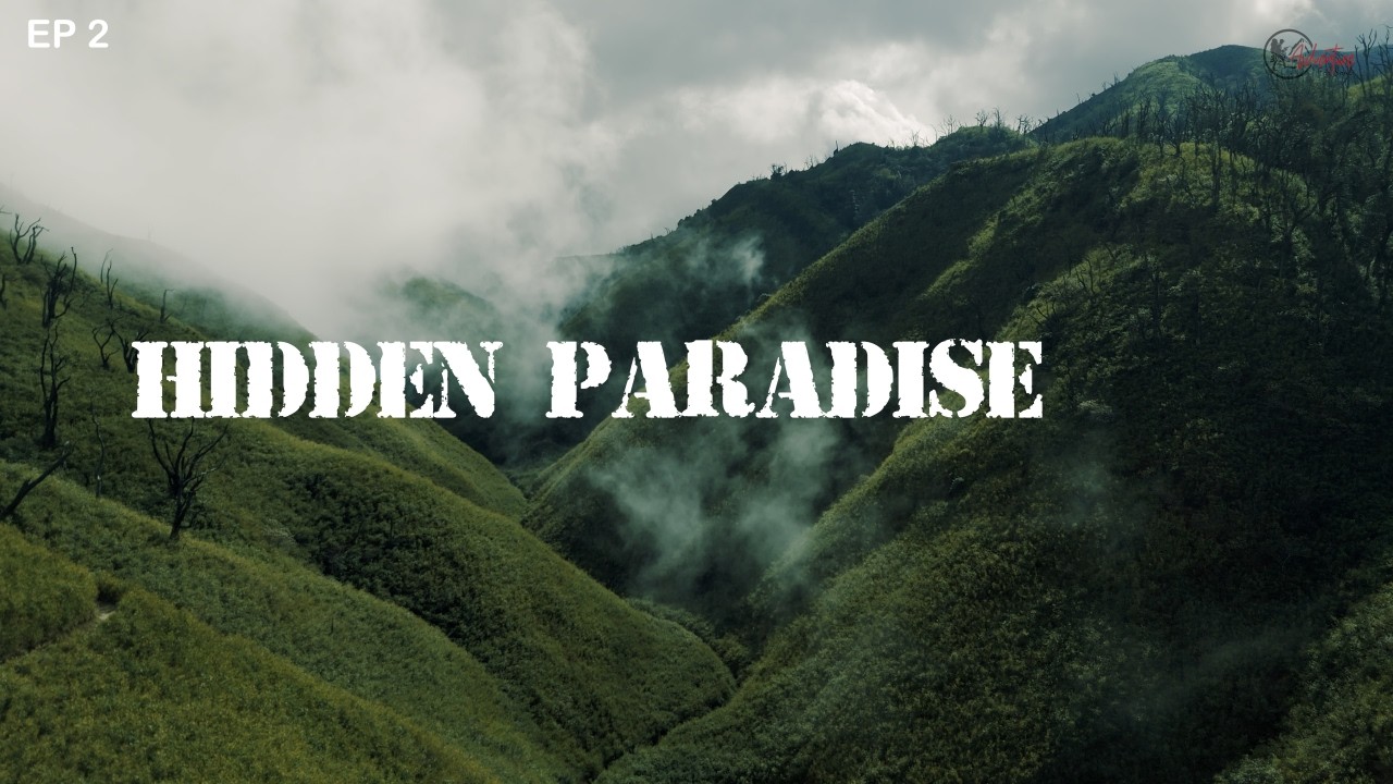 Dzukou Valley – Nagaland’s Hidden Paradise | EP 2