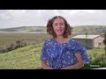 Kaipara mayor accuses media of 'dealing in climate porn' as he cuts back funding | Newshub