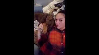 14 Random Doberman Pinscher Videos That Will Make You Smile by Moon Bags 876 views 6 years ago 7 minutes, 38 seconds