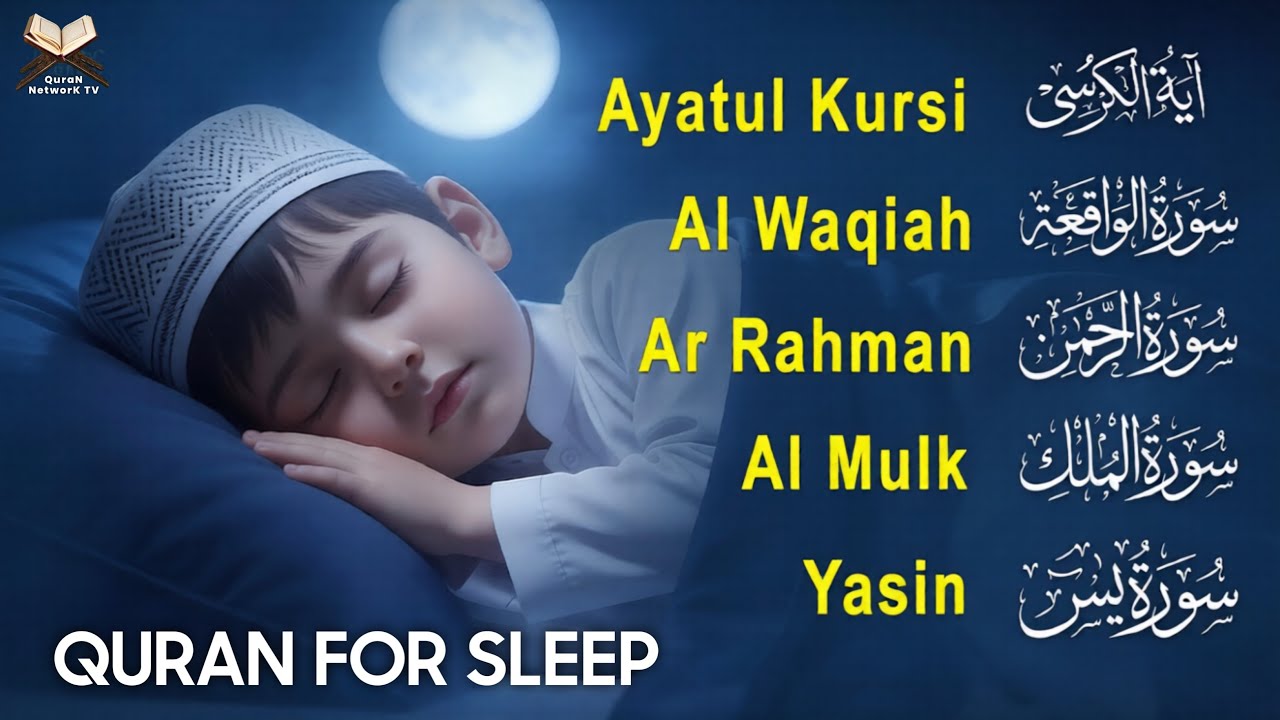 Peaceful Quran for Deep Sleep | Al-Fatiha,Ayatul Kursi,Surah Ar-Rahman, Al-Mulk, Yasin - Alaa Aqel